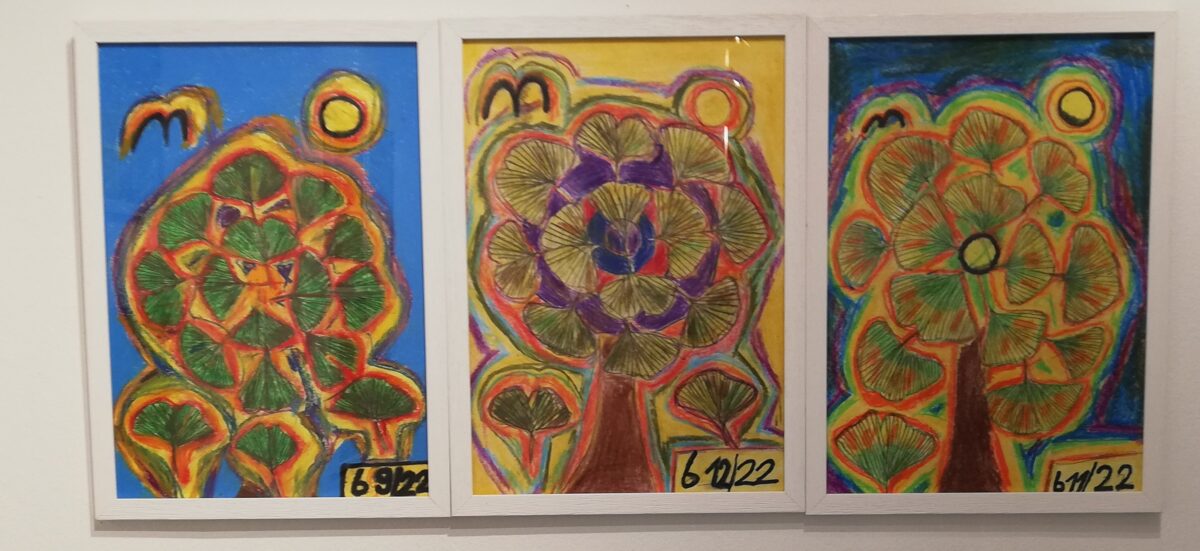 Bild