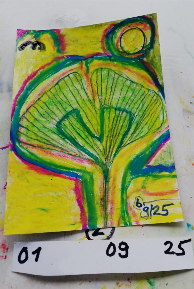 Bild